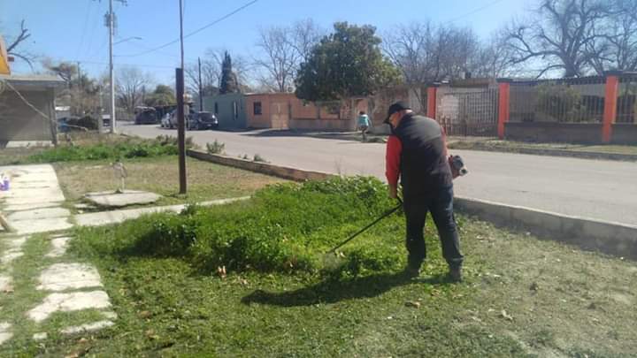 solidario2